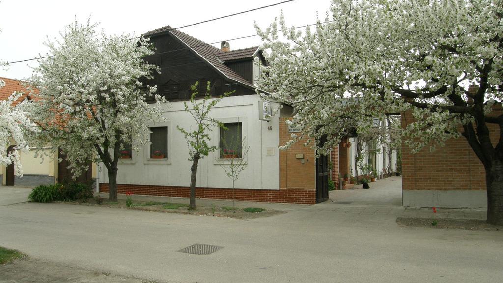 Marika Vendeghaz Seghedin